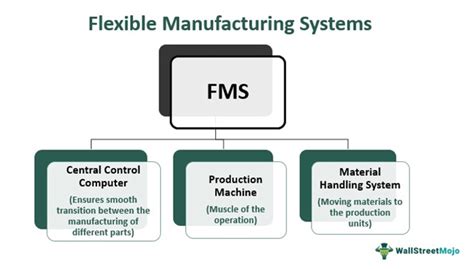 fms meaning.